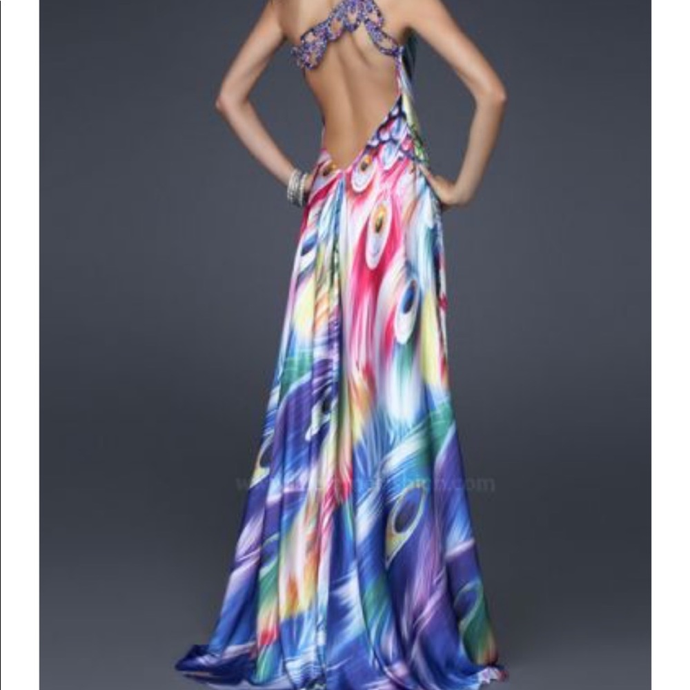 Beautiful silk peacock dress